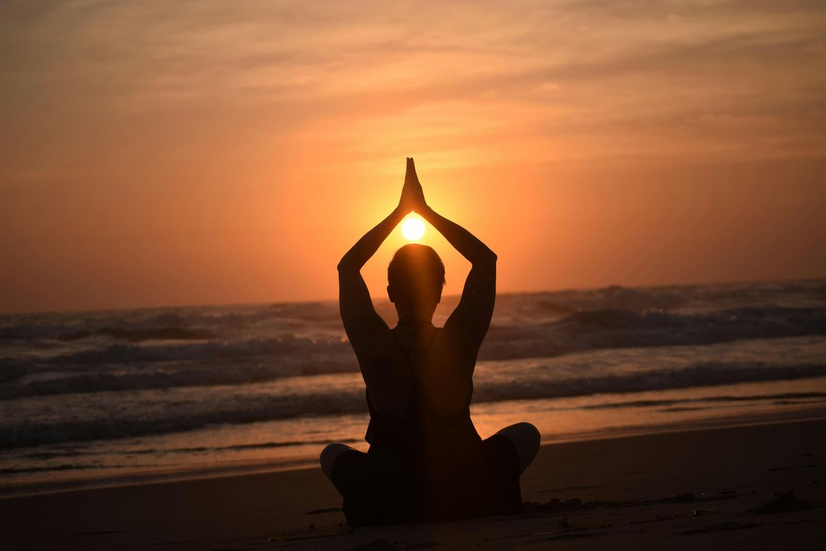 The Nervous System as a Storyteller, 28 November | Event in Russell Lea | AllEvents