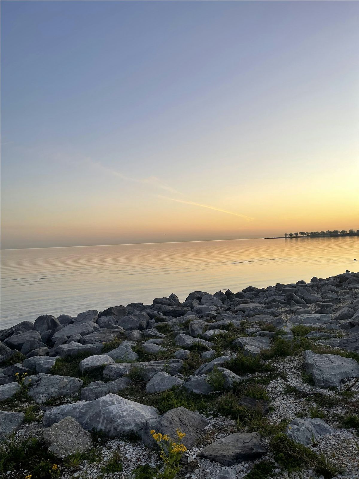 Community and Wellness Connections at Sunset, 23 August | Event in New Orleans | AllEvents