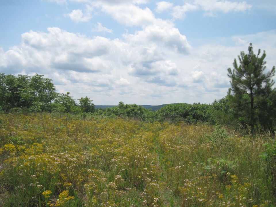 National Public Lands Day Hike 2023, Moffitt Trailhead, Troy, September
