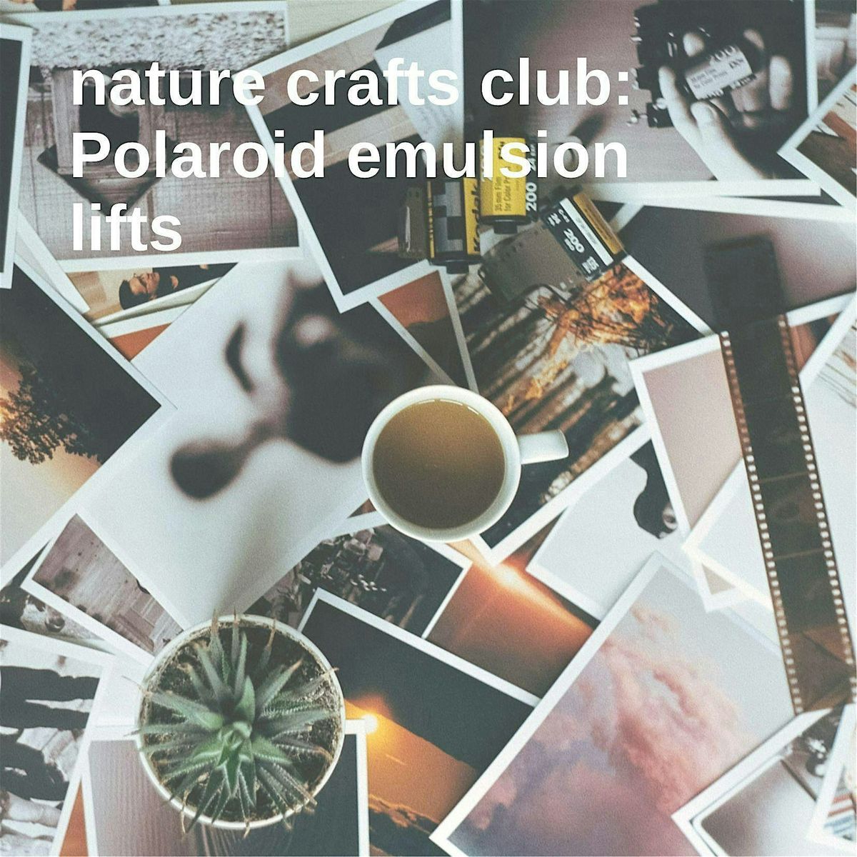 Nature Crafts Club: Polaroid Emulsion Lifts Workshop, 17 August | Event in Albuquerque | AllEvents