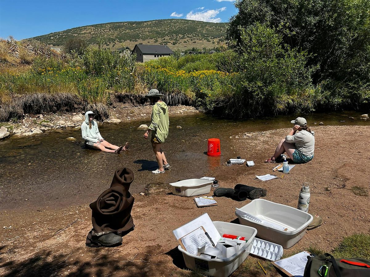 Creek Critter Biosurvey, 30 August | Event in Park City | AllEvents