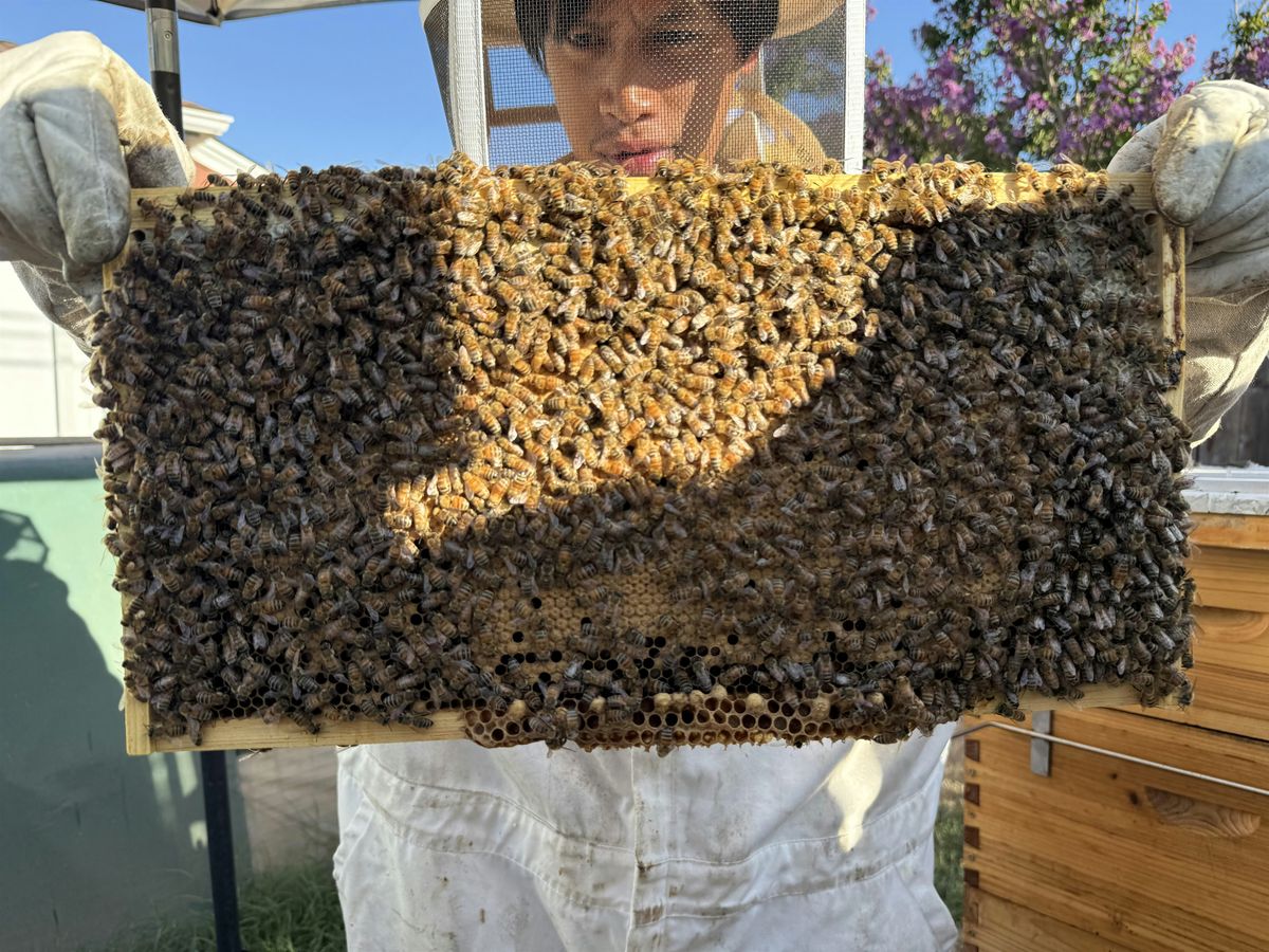Three Sisters Gardens August Skills Share, 30 August | Event in West Sacramento | AllEvents