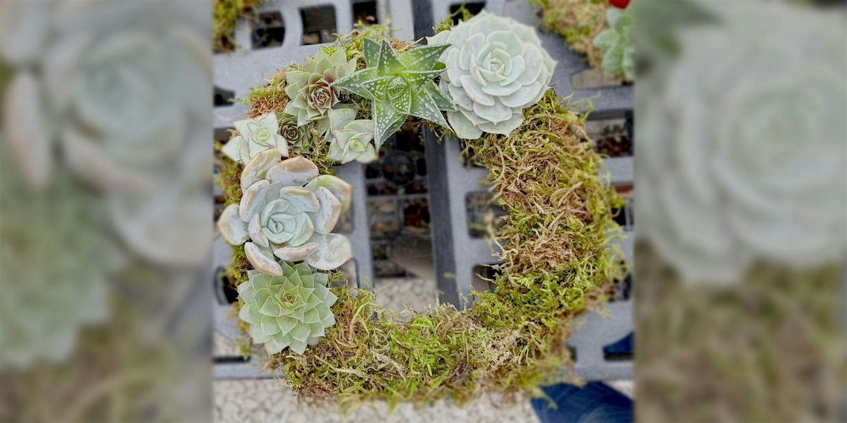 Plant 4 Good - Succulent Wreath Making, 28 May | Event in Ardmore | AllEvents