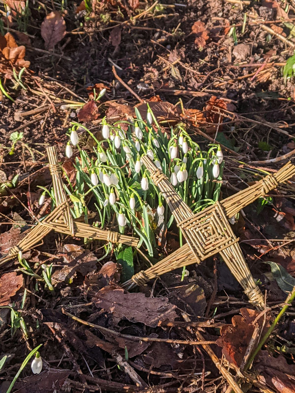 Bridget's cross / Imbolc cross willow weaving and mindfulness walk, 31 January | Event in Bala | AllEvents