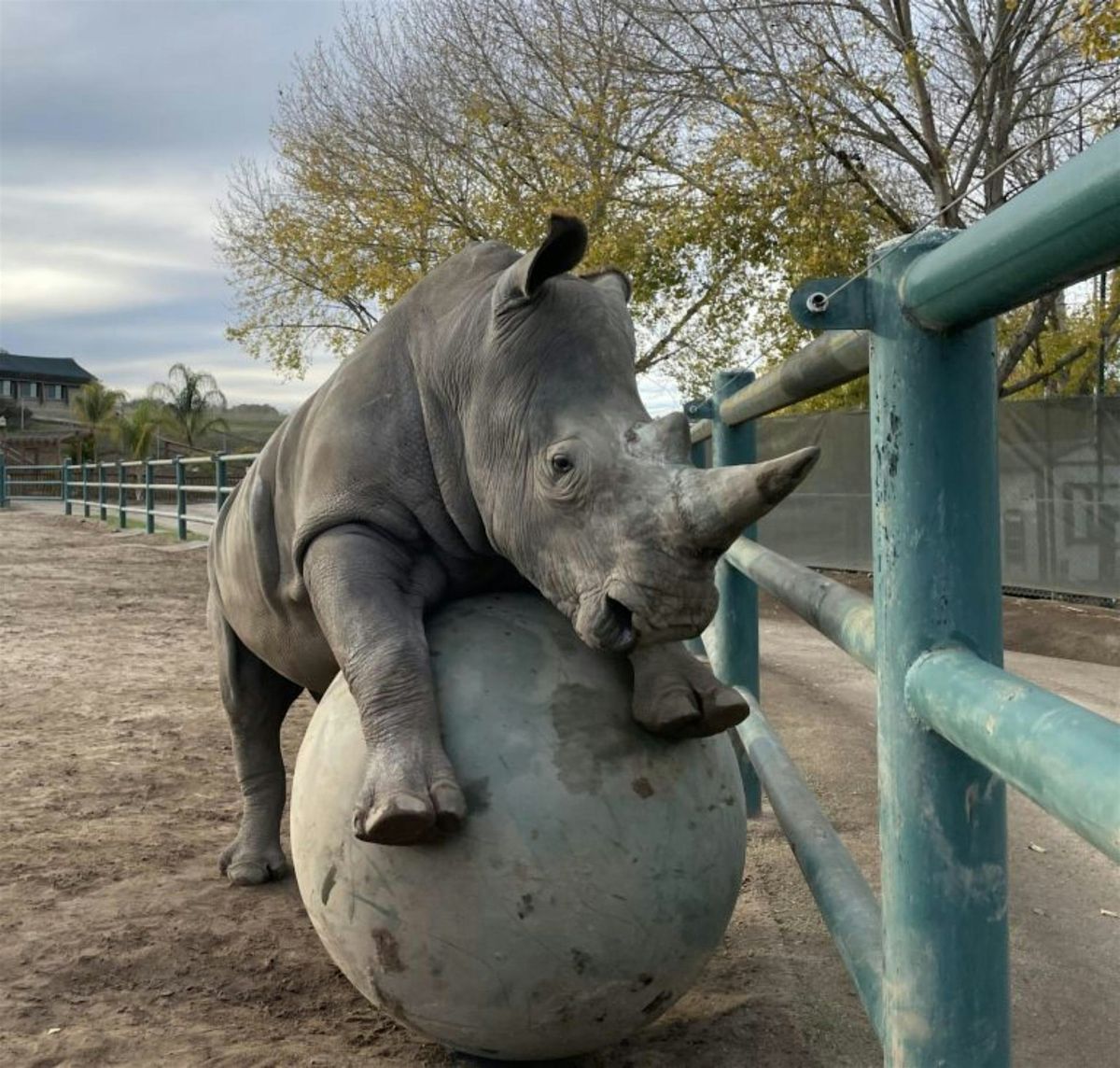 Greet HWY 68 Loop Day at Monterey Zoo, 9 August | Event in Salinas | AllEvents