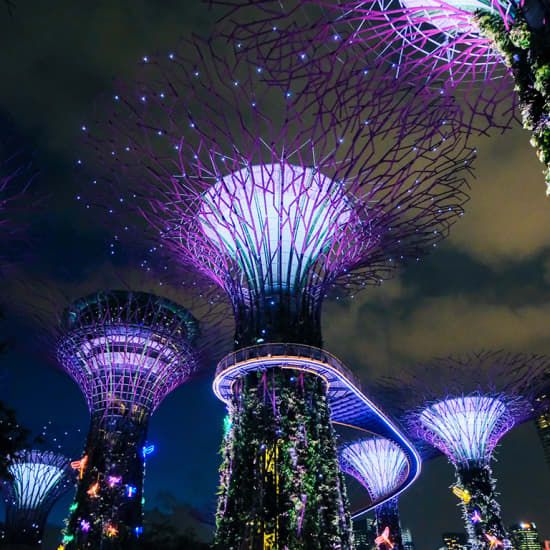 Marina Bay Night Cycling Tour | Event in Singapore | AllEvents