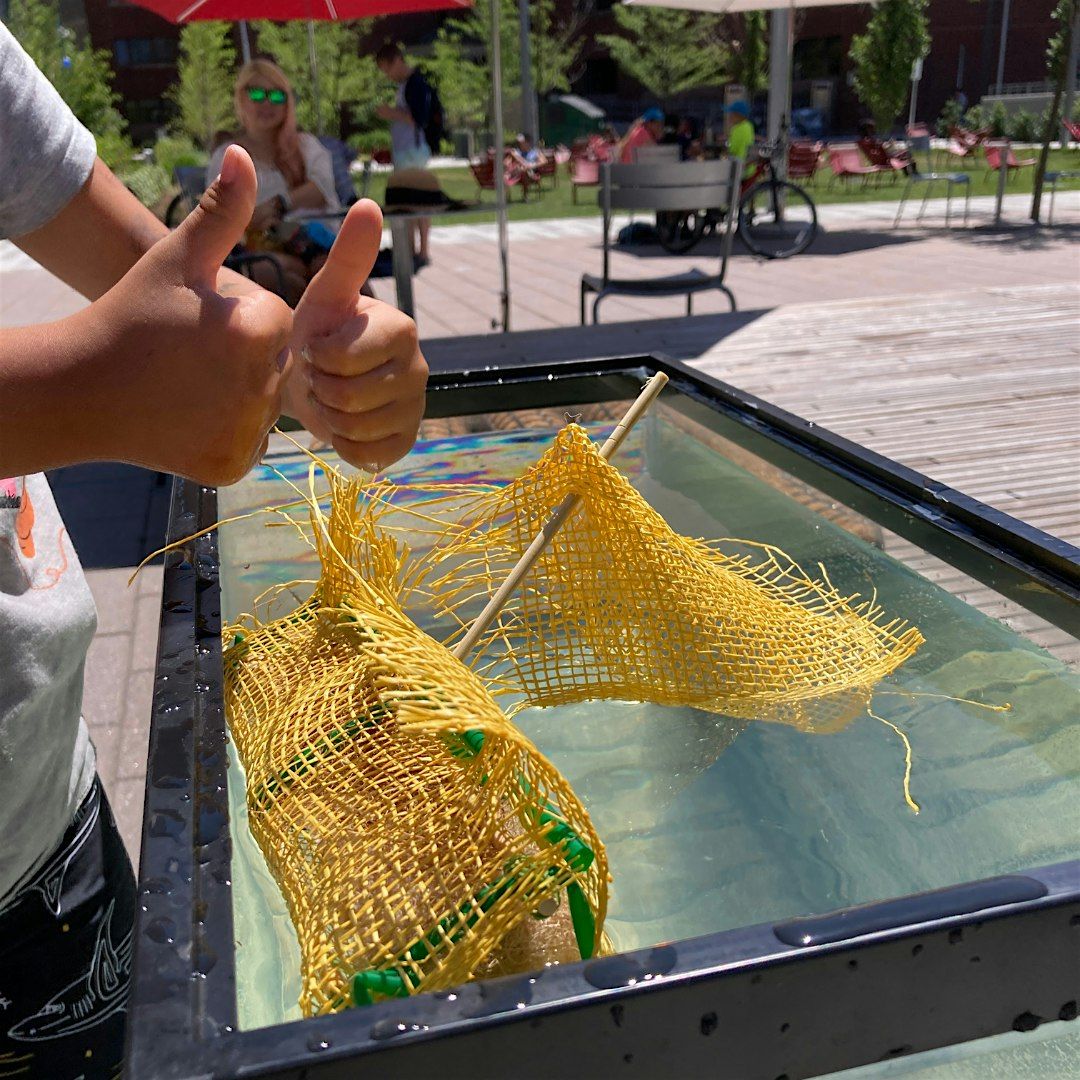 LEAP Lab: Floating Wetlands, 16 August | Event in Cambridge | AllEvents