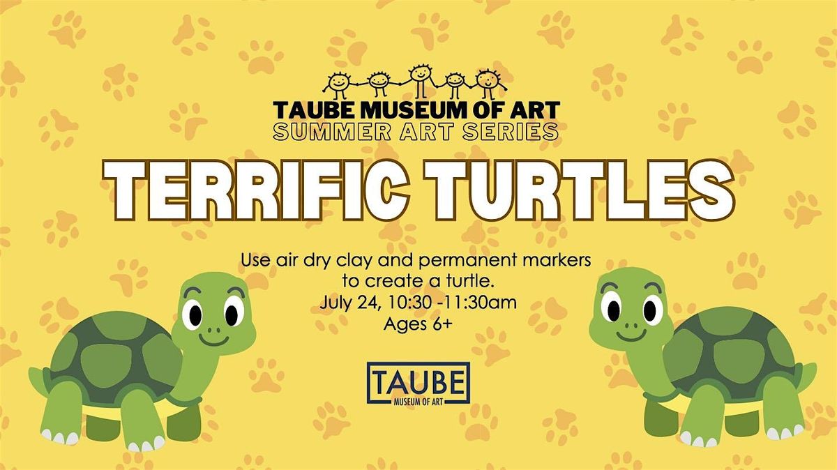 Terrific Turtles - Summer Art Series, 24 July | Event in Minot | AllEvents