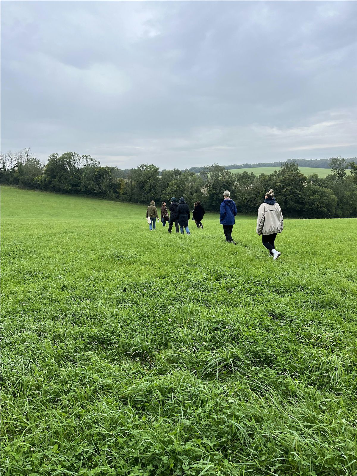 Intergenerational Community Walk at Devils Dyke with Wild Purpose, 8 November | Event in Brighton | AllEvents