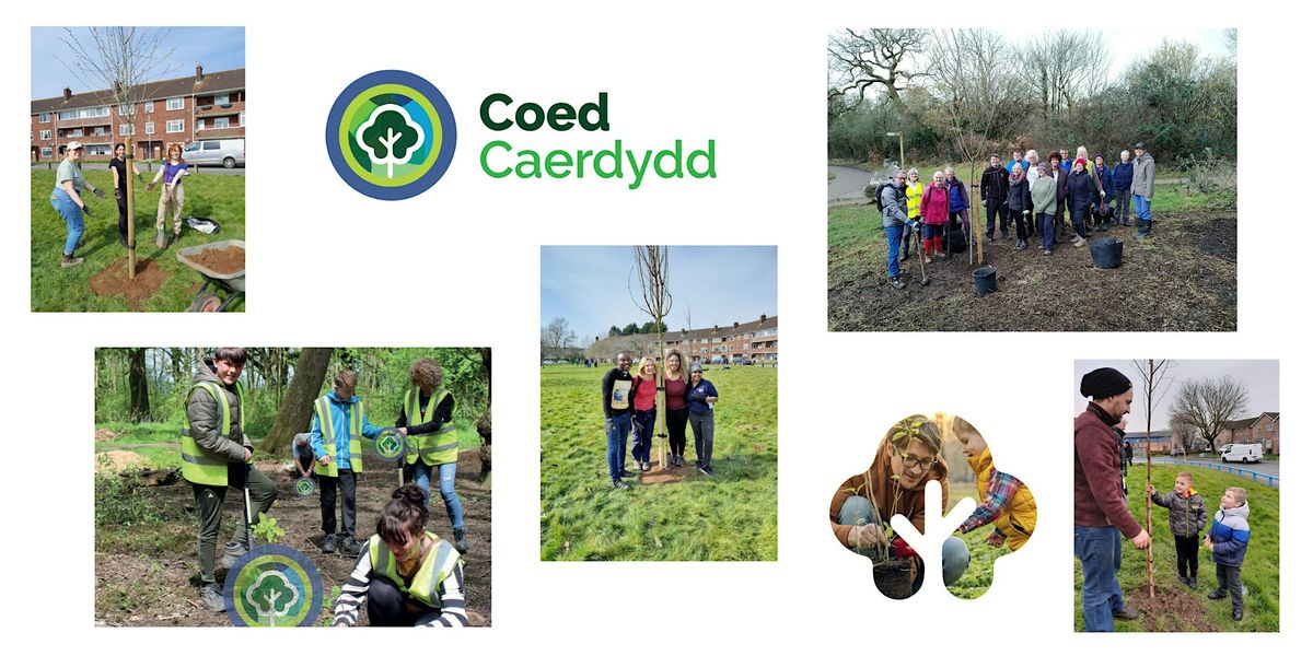 Tree planting -  Ely Wells (off Bwlch Road), Fairwater, 18 February | Event in Cardiff | AllEvents