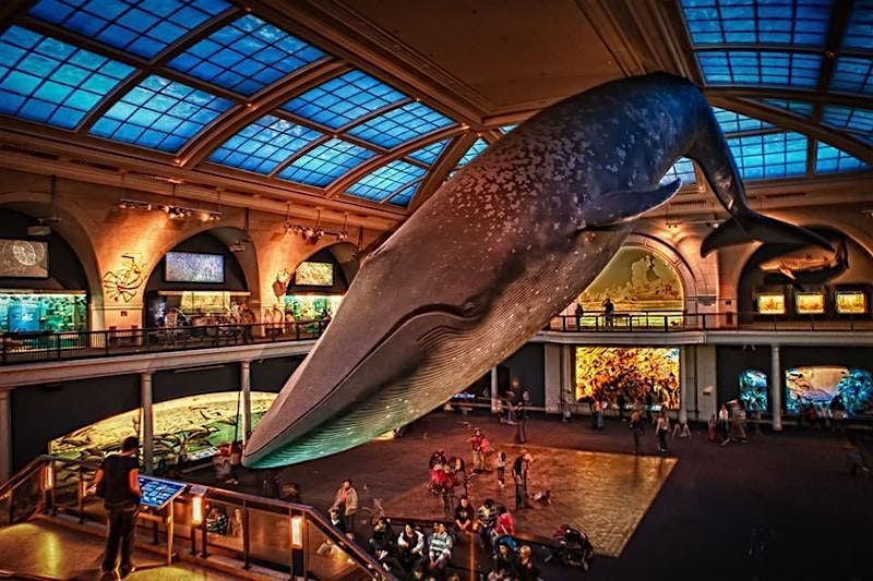 Museum Of Natural History Scavenger Hunt, 31 May | Event in New York | AllEvents
