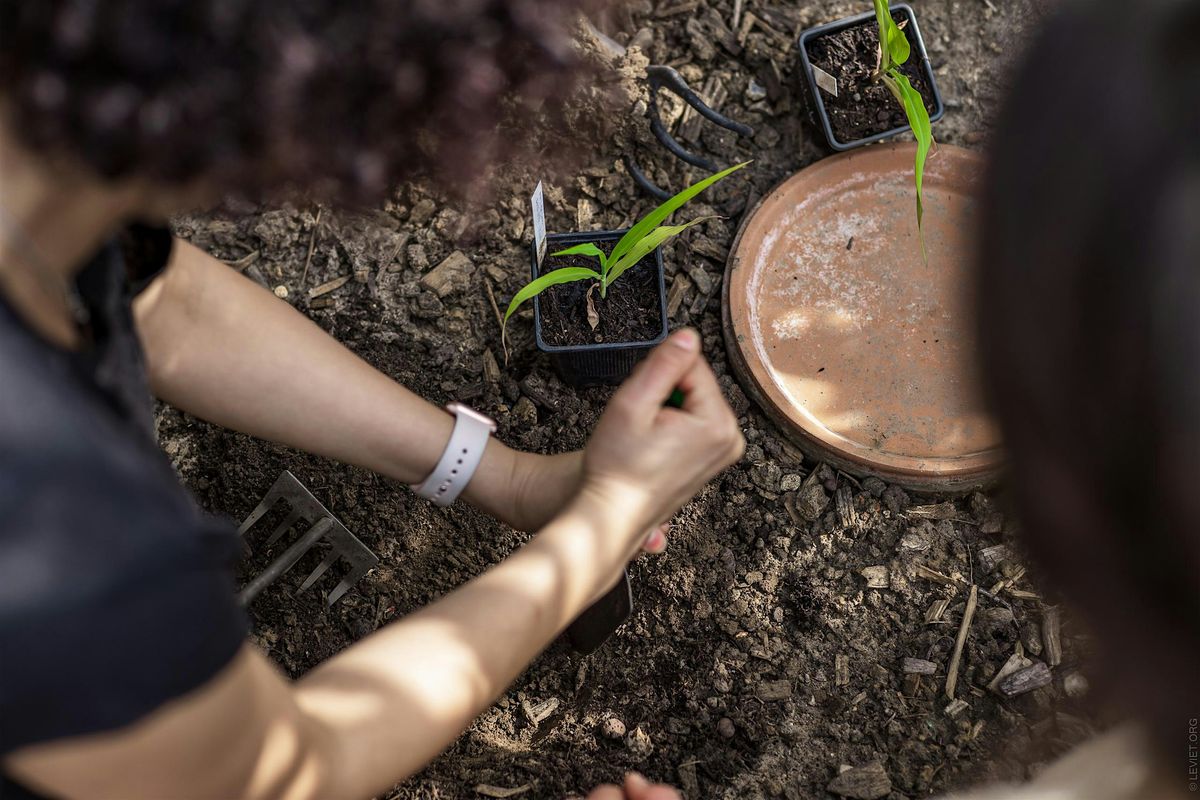 Faire des semis avec les graines du jardin, 30 August | Event in Paris | AllEvents