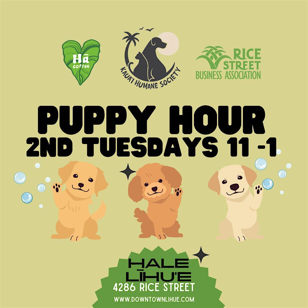 Puppy Hour every 2nd Tuesdays with Kauai Humane Society | Event in Lihue | AllEvents