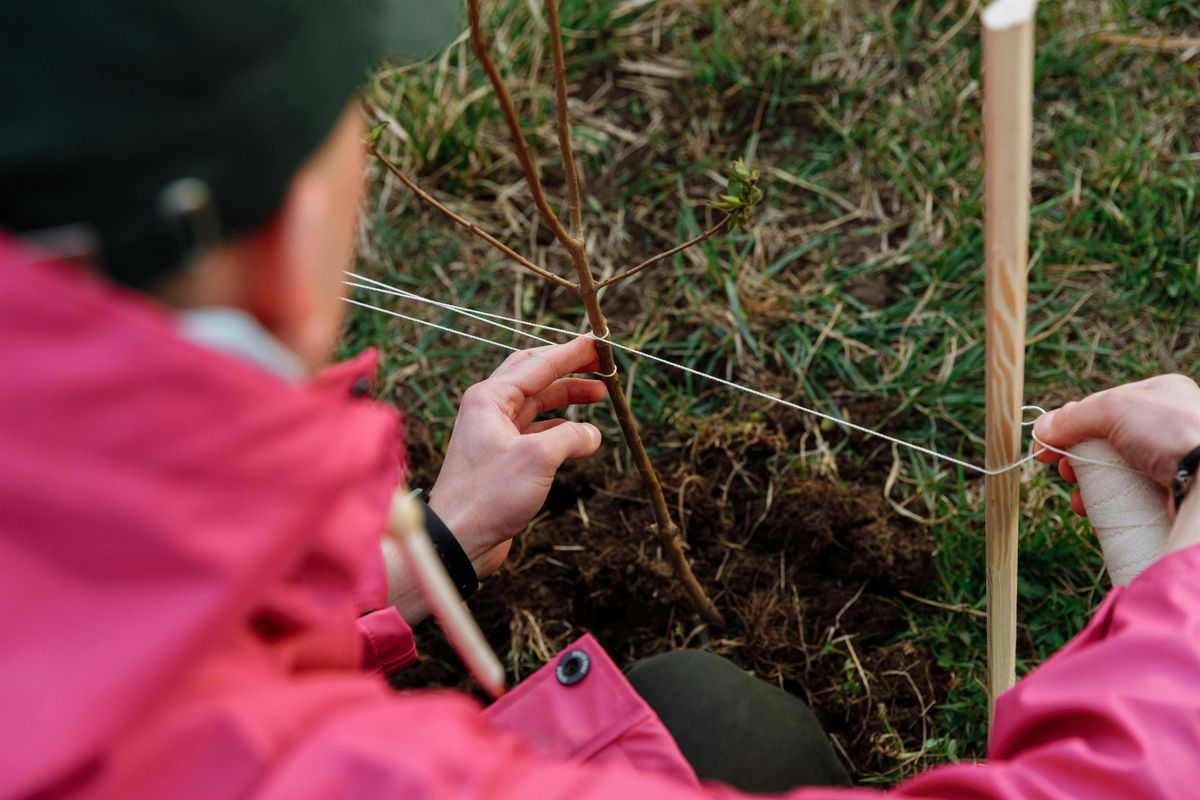 Beginner’s Stewardship: Plant Survivability Workshop, 12 September | Event in Hillsborough Township | AllEvents