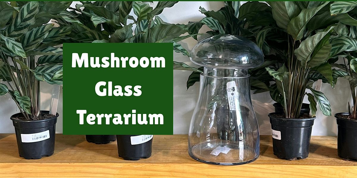 Mushroom Glass Terrarium Workshop, 29 August | Event in Raleigh | AllEvents
