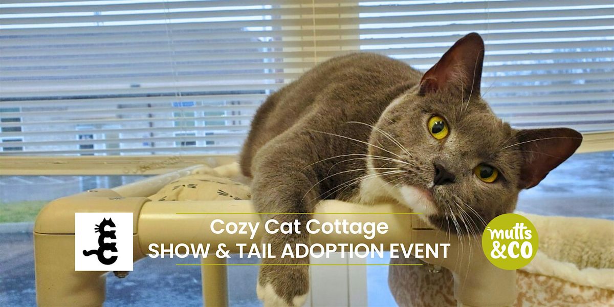Show & Tail with Cozy Cat Cottage (Graceland), 12 July | Event in Columbus | AllEvents