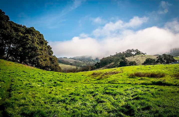 YogaHike Sonoma at Taylor Mountain Regional Park | Event in Santa Rosa | AllEvents