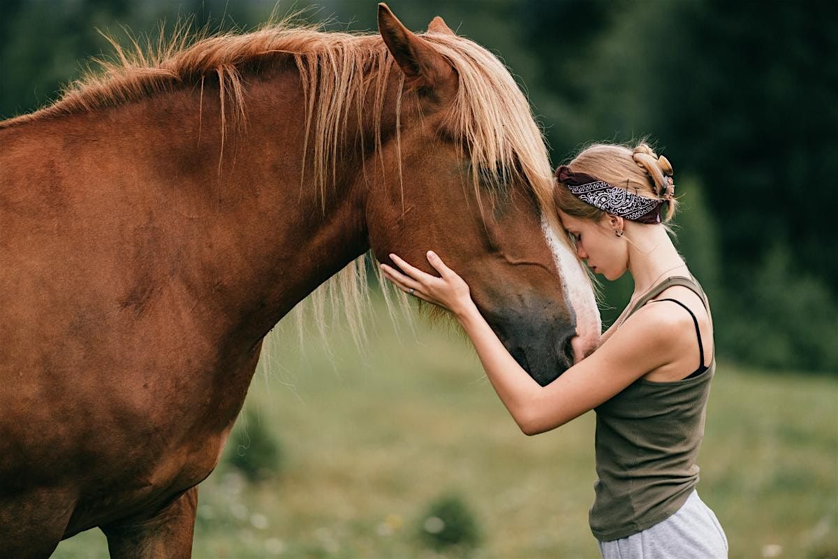 Healing Hooves and Helping Hands, 23 August | Event in Spring Valley | AllEvents