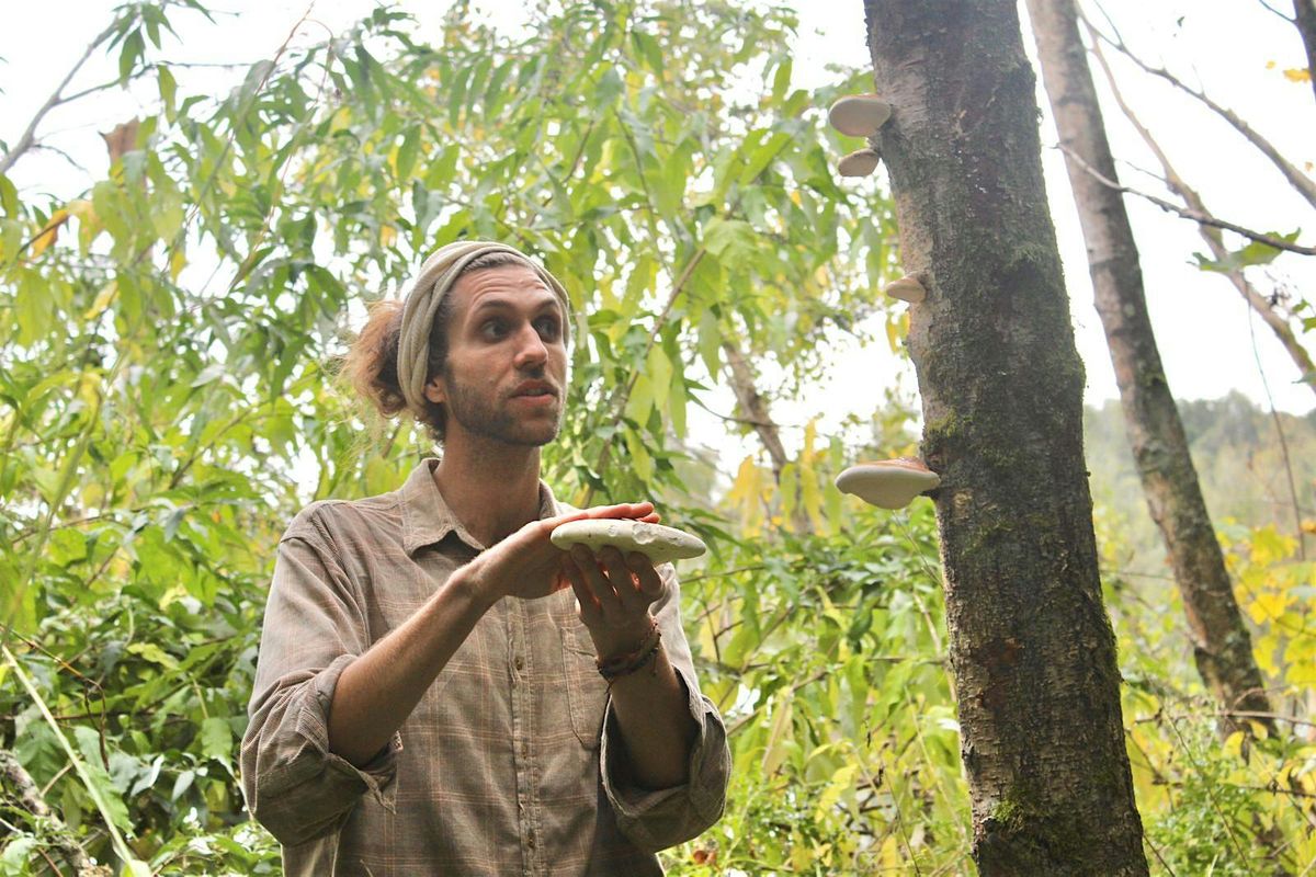 Autumn foraging Brighton, with TASTERS., 2 November | Event in Falmer | AllEvents