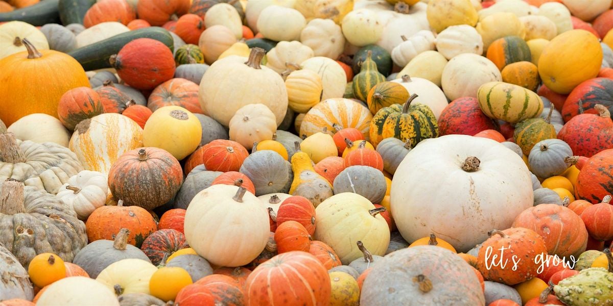 Decoupage Pumpkin Workshop, 11 October | Event in Aiken | AllEvents