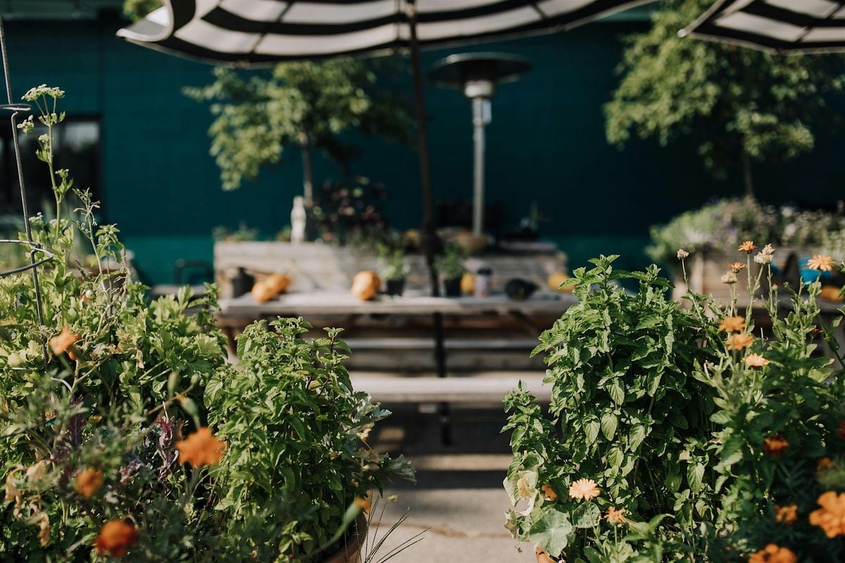 Sip & Snip: An Evening of Gardening and Wine at White Rabbit, 26 August | Event in Boise | AllEvents