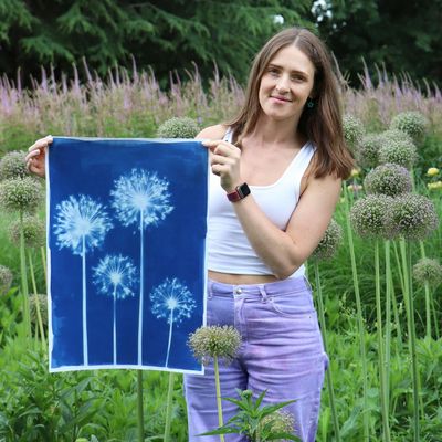 Daisy Bow du Toit logo