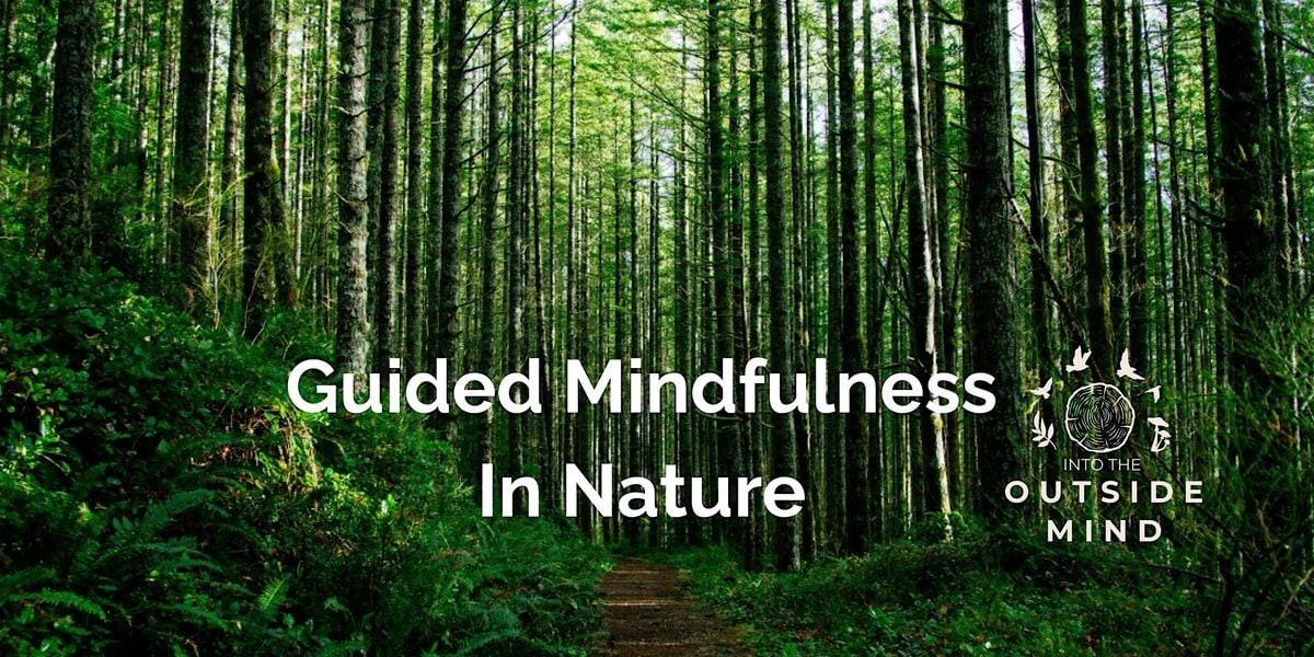 Guided Mindfulness in Nature Sessions, 6 July | Event in Waterloo | AllEvents