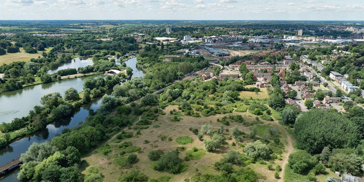 Broads Authority Volunteer Action Days - Carys Meadow