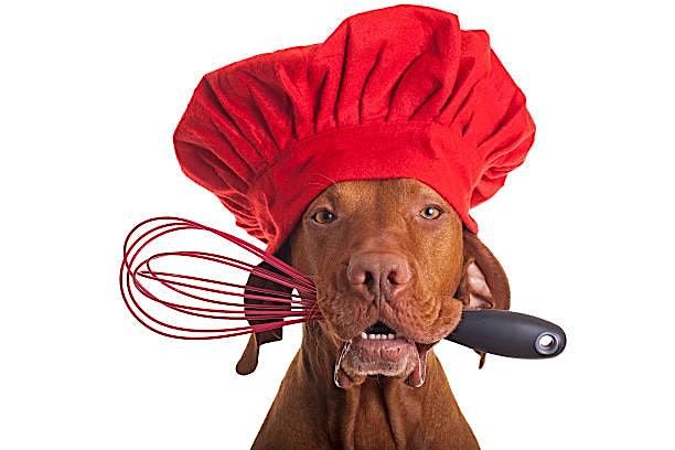 Bark If You're Dirty "Bark Buddies:  Cake Decorating Workshop", 21 June | Event in Scottsdale | AllEvents