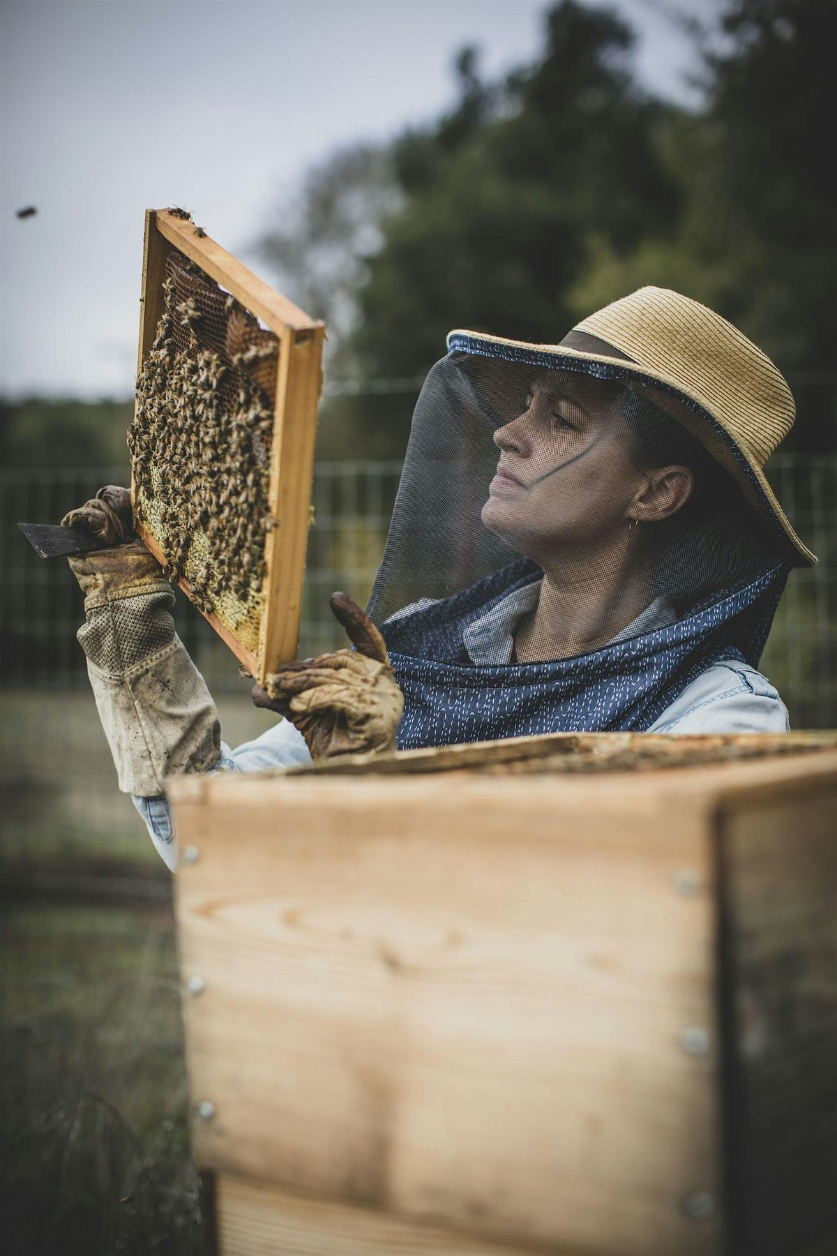 Hive to Herb Natural Skincare Workshop, 29 June | Event in Healdsburg | AllEvents