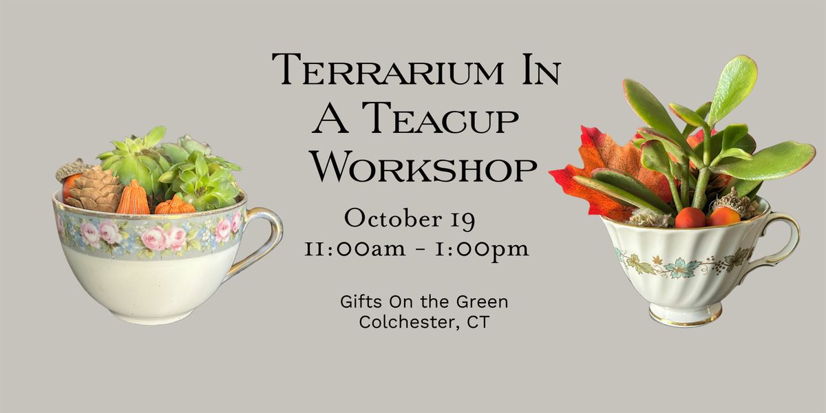 Terrarium In A Teacup Workshop, 19 October | Event in Colchester | AllEvents
