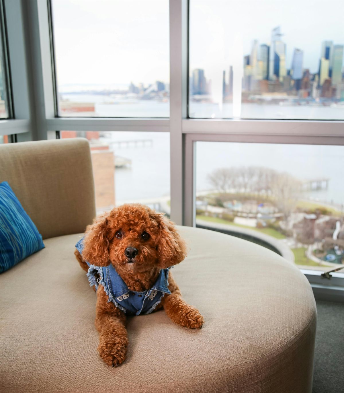 Pamper Your Pet at W Hoboken, 26 August | Event in Hoboken | AllEvents
