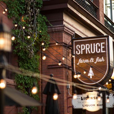 Spruce farm & fish
