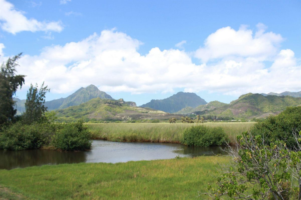 Mindful Self Compassion in Nature, 23 August | Event in Kailua | AllEvents