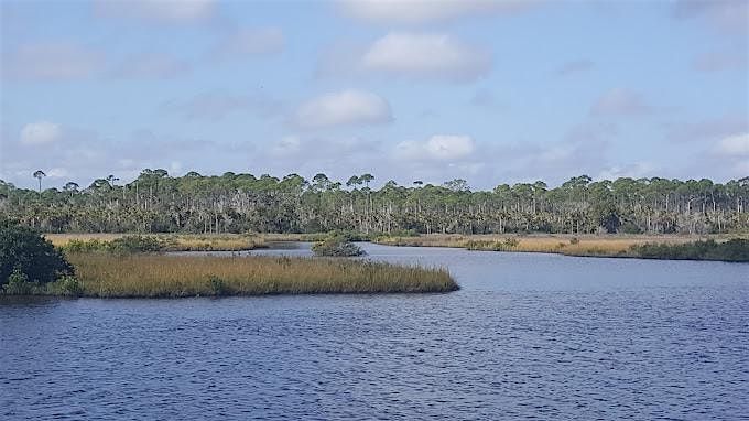 Spruce Creek Preserve/ Doris Leeper Park, Coastal Cleanup 2025, 20 September | Event in Port Orange | AllEvents