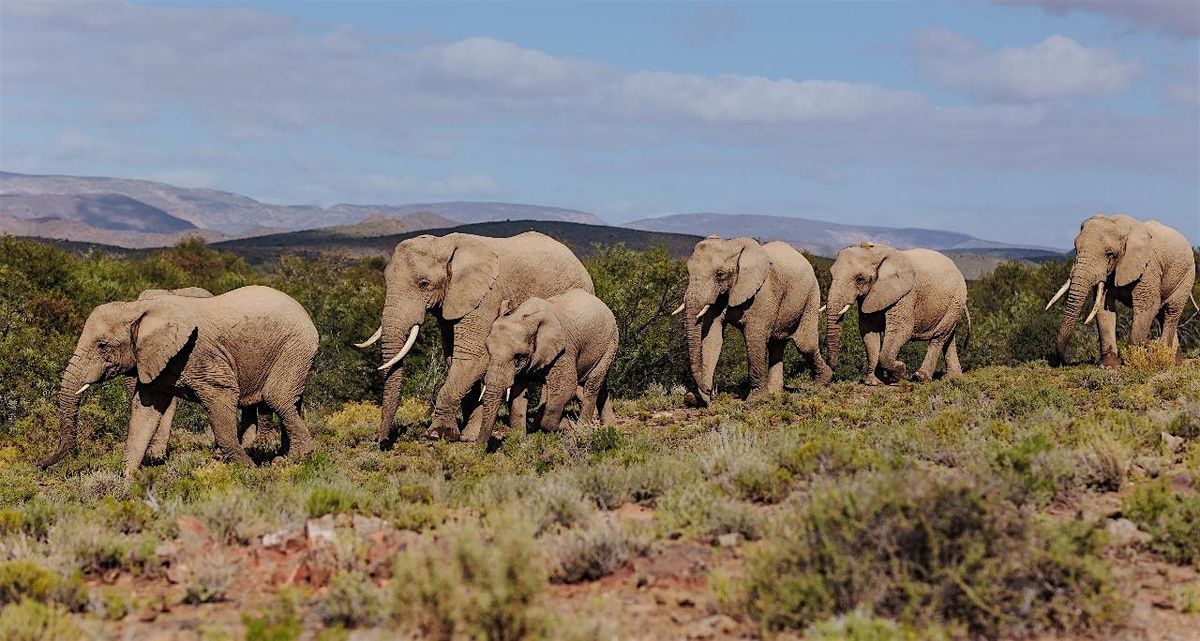Sip & Discover: South African Wine + Stories, 15 August | Event in Seattle | AllEvents