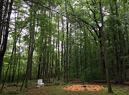 Forest Bathing, Summer, 19 July | Event in Benson | AllEvents