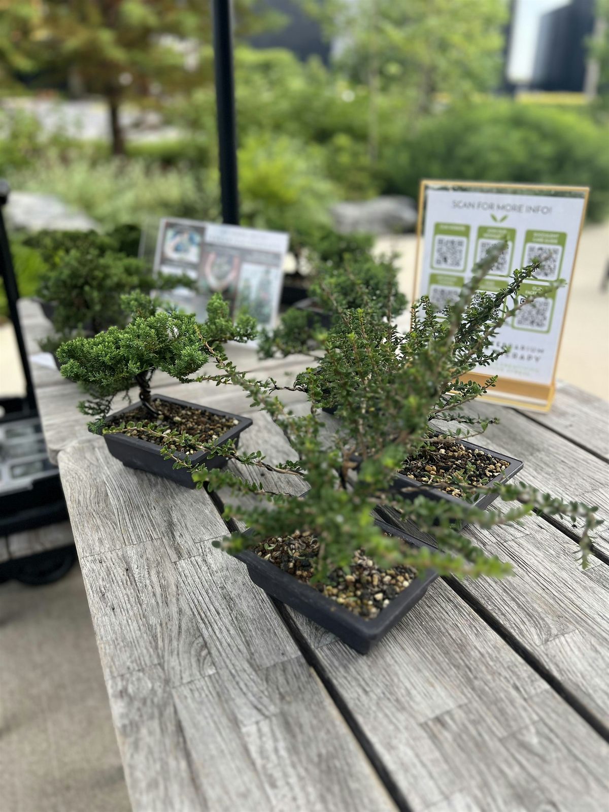 BBQ & Bonsai Workshop at Sweet Lucy's Smokehouse, 12 August | Event in Philadelphia | AllEvents