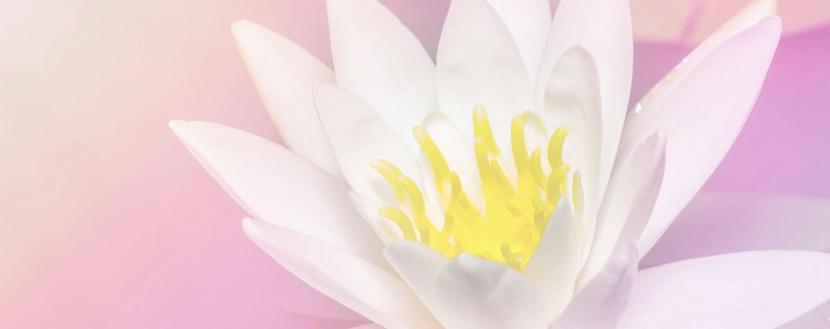 Break Free from Anxiety, Build a Life of Happiness | Event in Hurstville | AllEvents