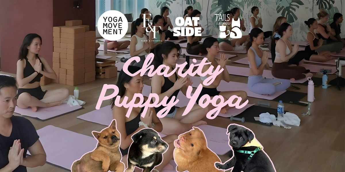 Charity Puppy Yoga