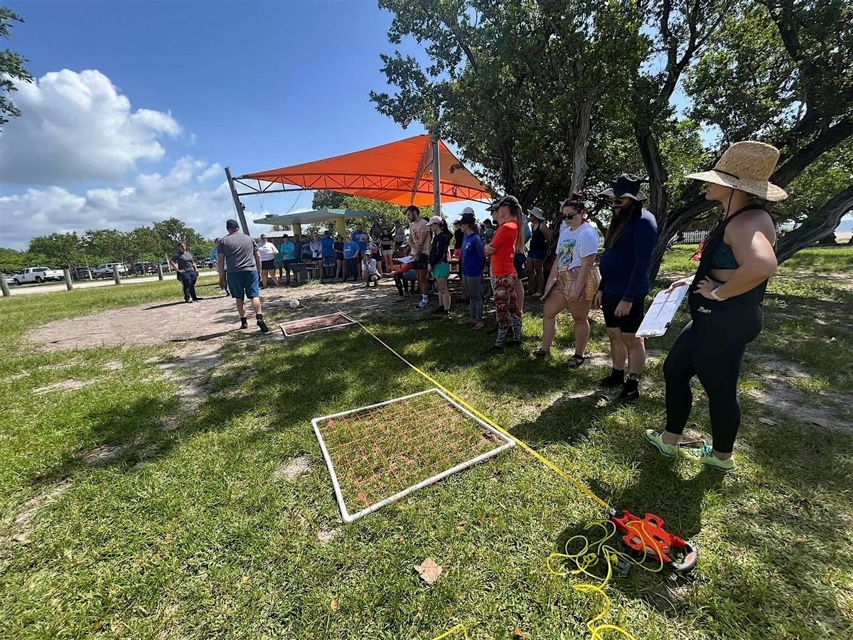 SFAEP 2025 SUMMER SPLASH - Annual Seagrass ID & In-Water Survey Workshop, 28 June | Event in Miami | AllEvents