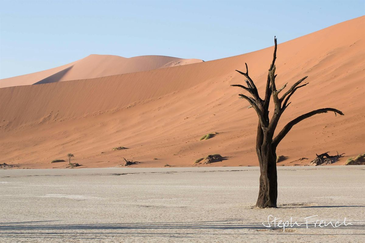 Burnout & Overwhelm: a systemic constellation approach, 1 December | Event in London | AllEvents