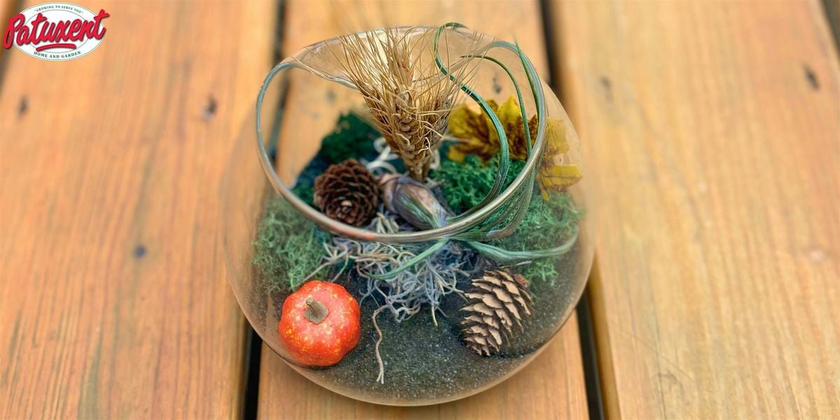 Fall Terrarium Workshop, 3 October | Event in Bowie | AllEvents
