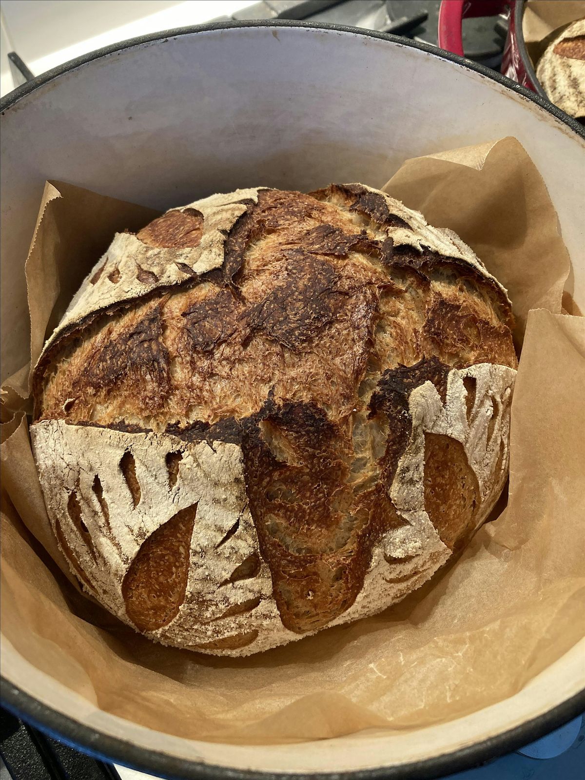 Sourdough Workshop, 19 July | Event in Carbrook | AllEvents