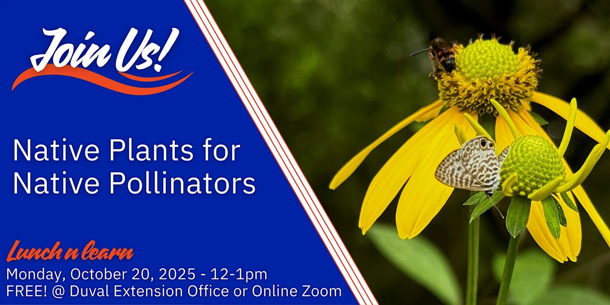 Native Plants for Native Pollinators (In Person & Online), 20 October | Event in Jacksonville | AllEvents