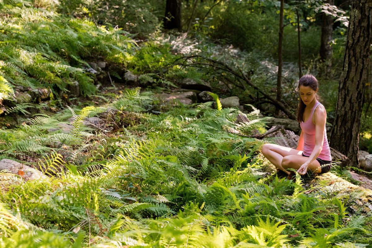 Root & Rise: An Immersive Forest Experience for Women, 20 September | Event in Cincinnati | AllEvents