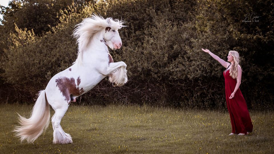 Aylesford Equine Camp, Aylesford Equine / XCountry, Loughborough, May