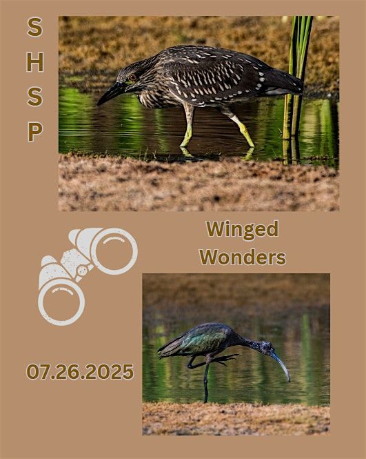 Winged Wonders - Bird Watching | Event in Hurricane | AllEvents
