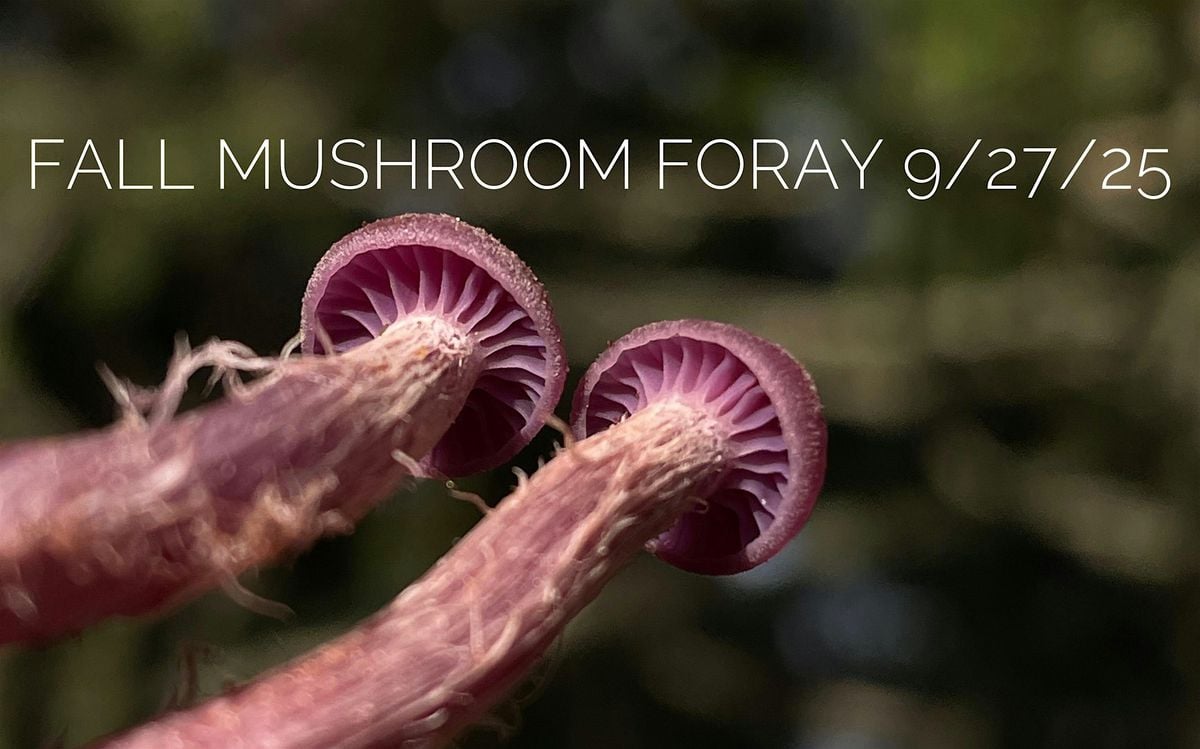 Fall Mushroom Foray Sat/9/27/25 1:00pm, 27 September | Event in Trout Lake | AllEvents
