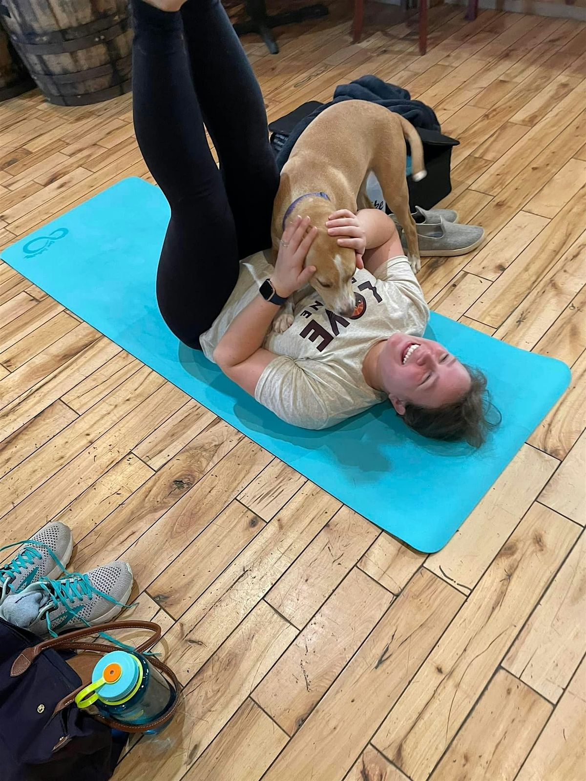 Doggy Noses & Yoga Poses at Angry Erik Brewing, 18 May | Event in Newton | AllEvents